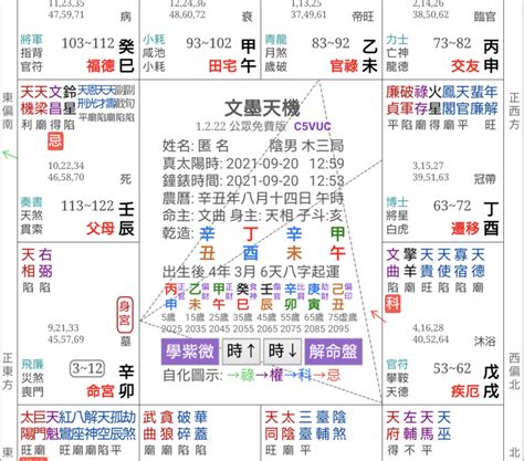 紫微斗数 2024|2024年紫微斗数 紫微斗数2024运势